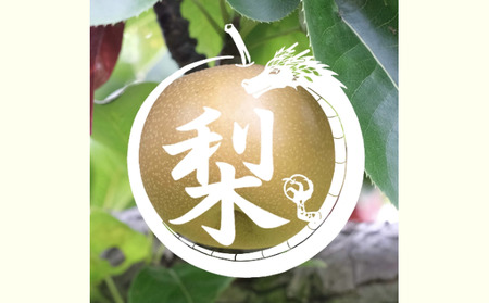 【無農薬】南信州からお届け 信州産 皮ごと食べられる安心安全の南水 約 3kg (8玉前後) フルーツ 果物 長野県産 デザート おすすめ 特産 産地直送