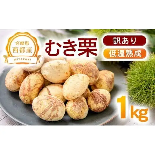 【訳あり】低温熟成栗 1kg 国産むき栗 糖度2～3倍上昇  西都市産【先行予約】＜49-4a＞
