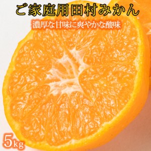 【先行予約】【ご家庭用訳あり】田村みかん 5kg◇｜ミカン 有田 紀伊｜ 蜜柑 柑橘 果物 フルーツ 糖度 甘い 濃厚 コク ジューシー 先行予約 みかん 国産 産地直送 人気 美浜町