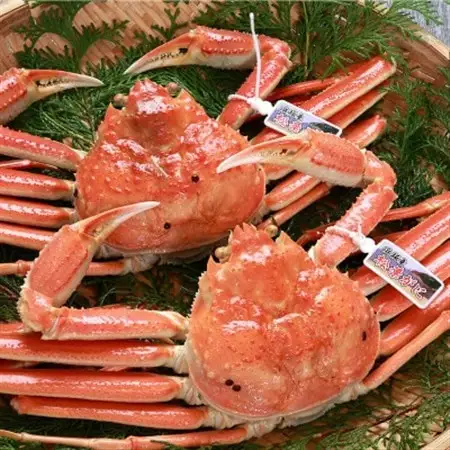 松葉ガニの本場より プロ茹で松葉ガニ(冷凍)　約400g×2枚【配送不可地域：離島】【1332356】