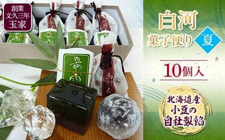 創業文久三年 玉家 白河菓子便り 夏 お茶菓子 お茶請け 和菓子 菓子 セット 詰め合わせ 詰合せ 食品 F21R-015