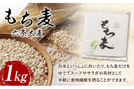 もち麦（六条大麦）1kg F21R-759