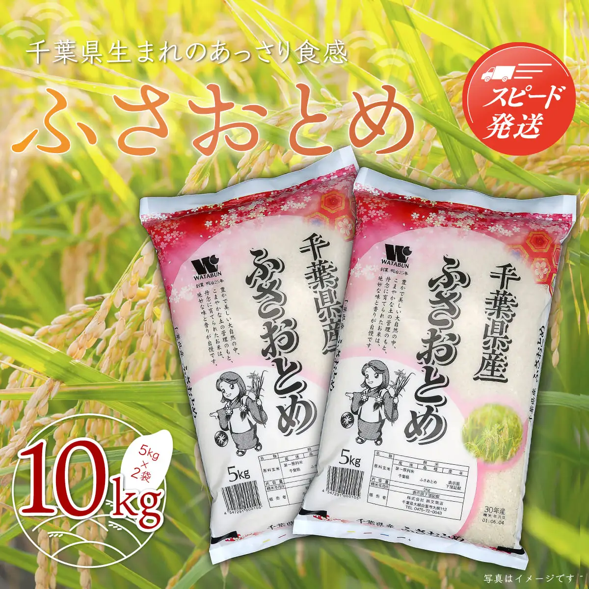 【最短2～7営業日出荷】令和7年産 千葉県産「ふさおとめ」10kg（5kg×2袋） A003