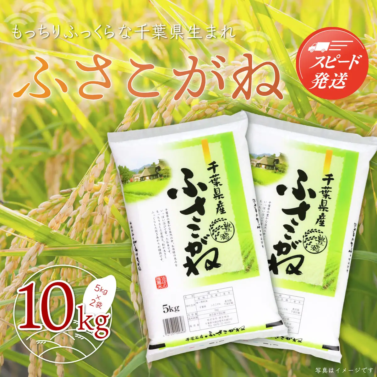 【最短2～7営業日出荷】令和7年産 千葉県産「ふさこがね」10kg（5kg×2袋） A004