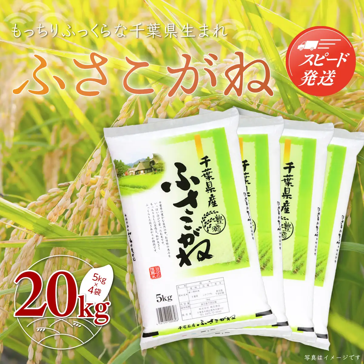 【最短2～7営業日出荷】令和7年産 千葉県産「ふさこがね」20kg（5kg×4袋） A005