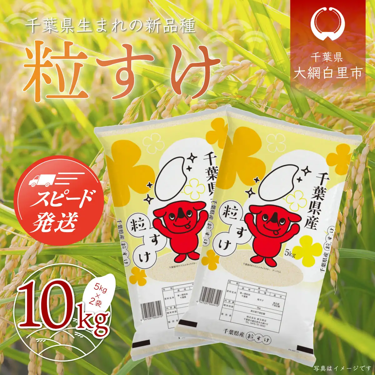 【最短2～7営業日出荷】令和7年産 千葉県産「粒すけ」10kg（5kg×2袋）/  粒すけ 令和7年産粒すけ 千葉県産粒すけ A006