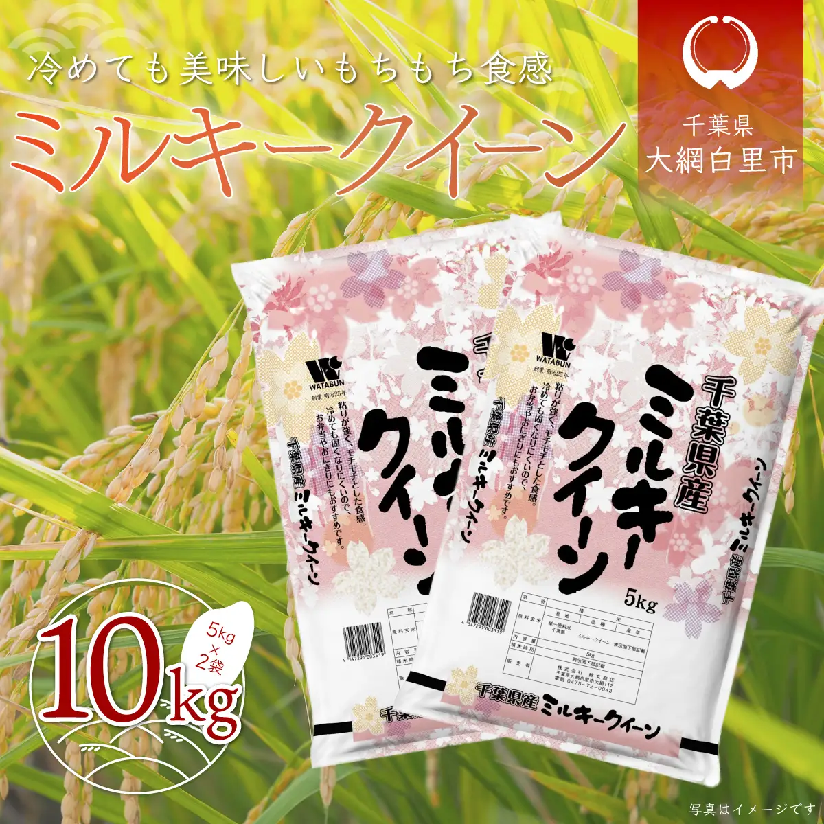令和7年産 千葉県産「ミルキークイーン」10kg（5kg×2袋） A007