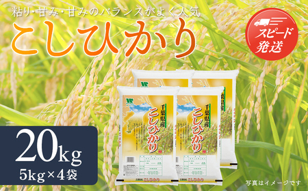 【最短2～7営業日出荷】令和7年産 千葉県産「コシヒカリ」20kg（5kg×4袋） A024