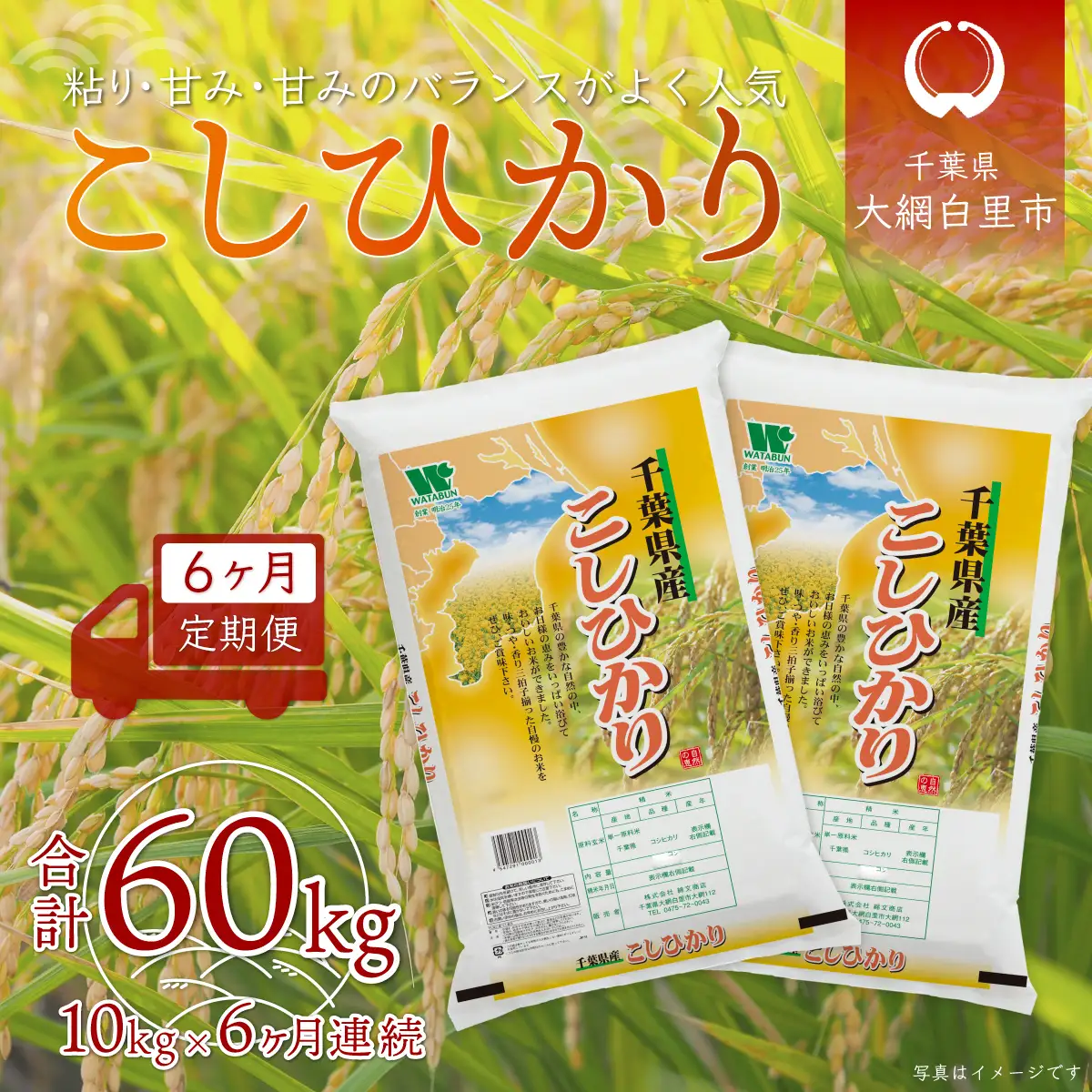 ＜6ヶ月定期便＞ 令和7年産 千葉県産「コシヒカリ」10kg×6ヶ月連続 計60kg A028