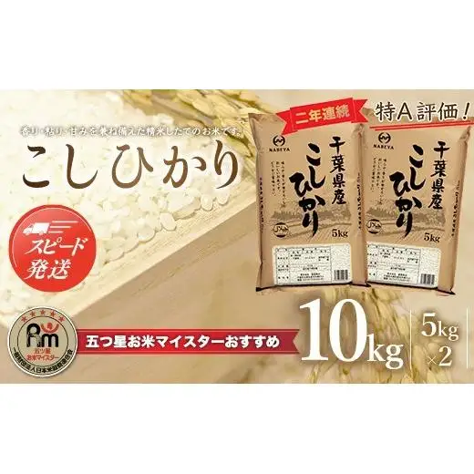 【最短2～7営業日出荷】令和7年産 2年連続特A評価!千葉県産コシヒカリ10kg（5kg×2袋） E001