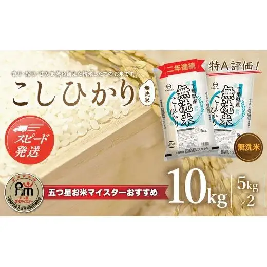 【最短2～7営業日出荷】令和7年産 2年連続特A評価!千葉県産コシヒカリ10kg無洗米（5kg×2袋） E004