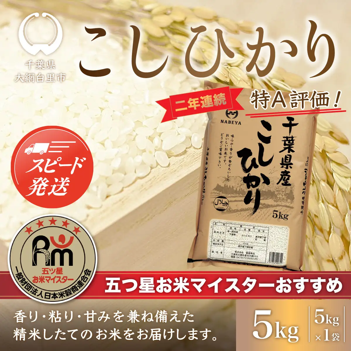 【最短2～7営業日出荷】令和7年産 2年連続特A評価!千葉県産コシヒカリ5kg（5kg×1袋） E006