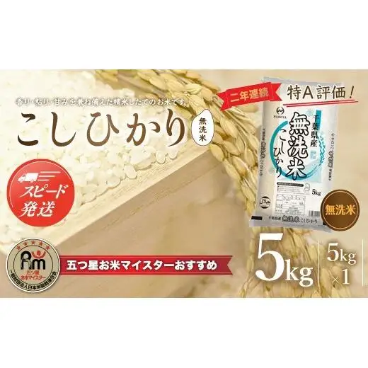 【最短2～7営業日出荷】令和7年産 2年連続特A評価!千葉県産コシヒカリ5kg無洗米（5kg×1袋） E008