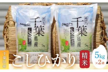 令和7年産 千葉県産コシヒカリ(精米)10kg[5kg×2袋] G001