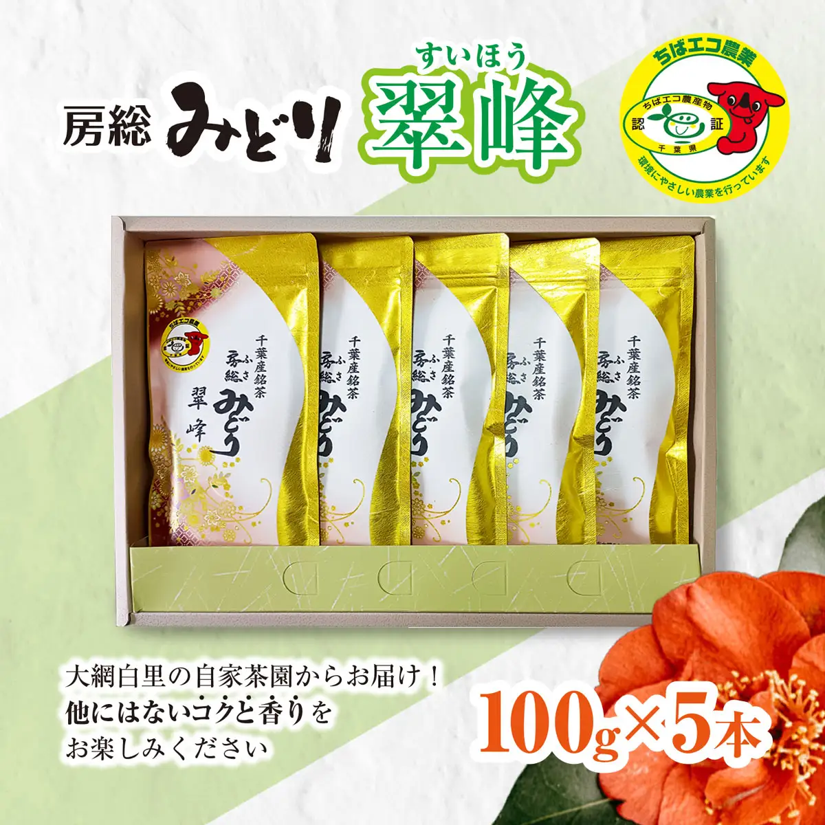【ちばエコ農産物認証茶葉】翠峰5本セット 【 ふるさと納税 人気 おすすめ ランキング お茶 緑茶 日本茶 茶葉 千葉県 大網白里市 送料無料 】H002