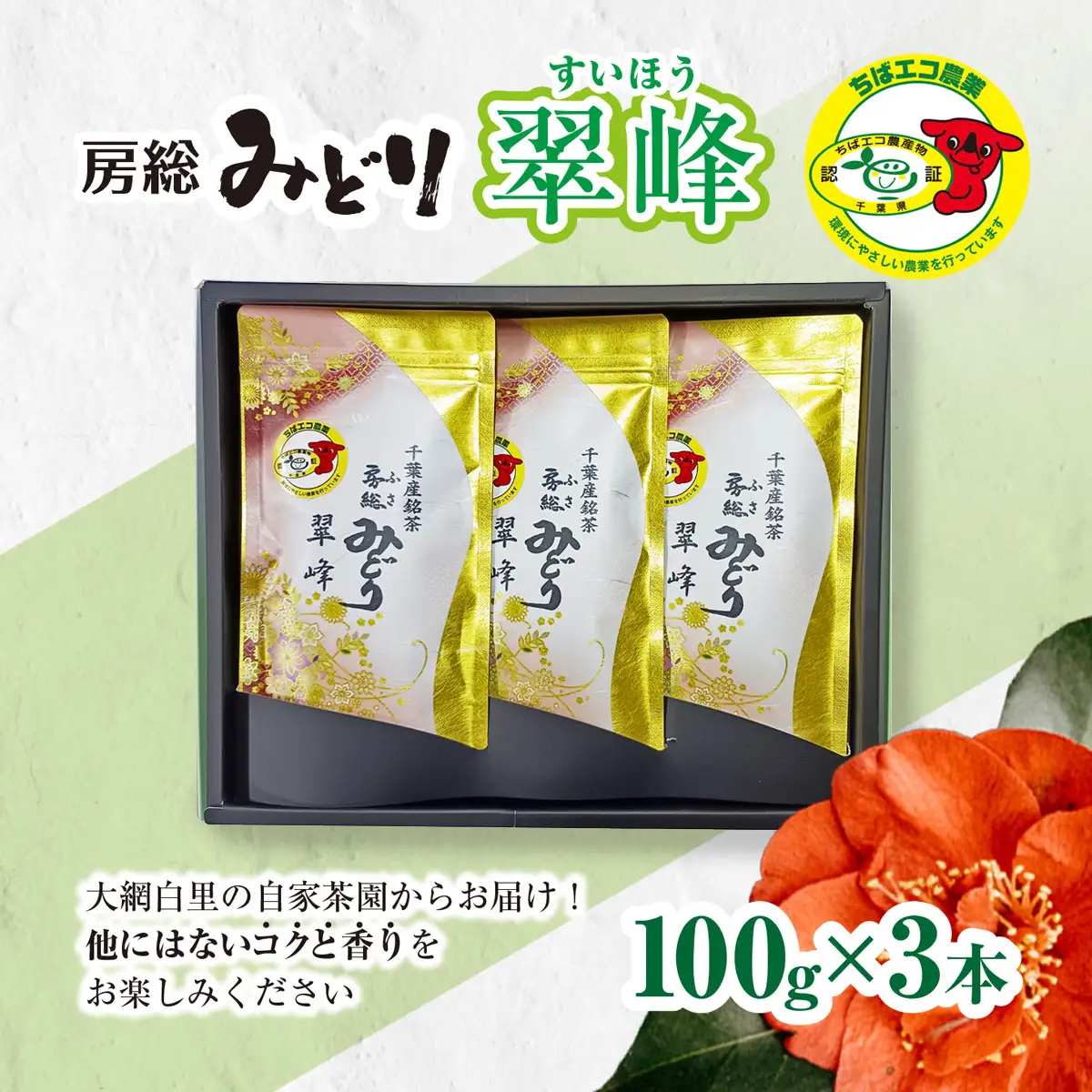 【ちばエコ農産物認証茶葉】翠峰3本セット 【 ふるさと納税 人気 おすすめ ランキング お茶 緑茶 日本茶 茶葉 千葉県 大網白里市 送料無料 】H003