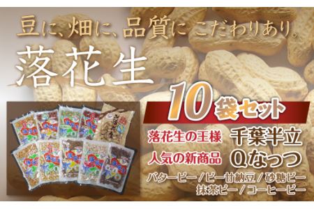 千葉県 大網白里市産 落花生10袋セット