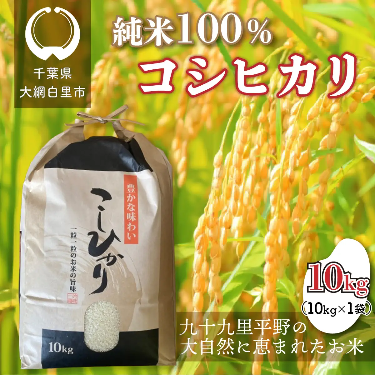 千葉県 大網白里市産 コシヒカリ 10kg（5kg×2袋）