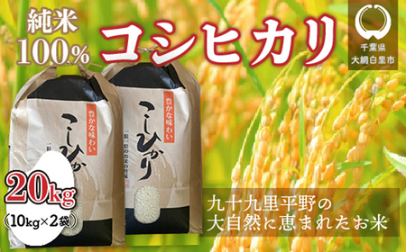 千葉県 大網白里市産 コシヒカリ 20kg（5kg×4袋）