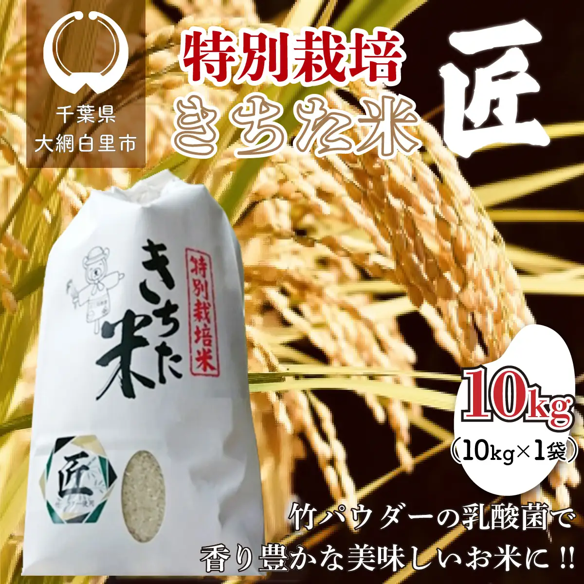 千葉県 大網白里市産 きちた米『匠(たくみ)』 （特別栽培米 コシヒカリ）10kg（10kg×1袋）
