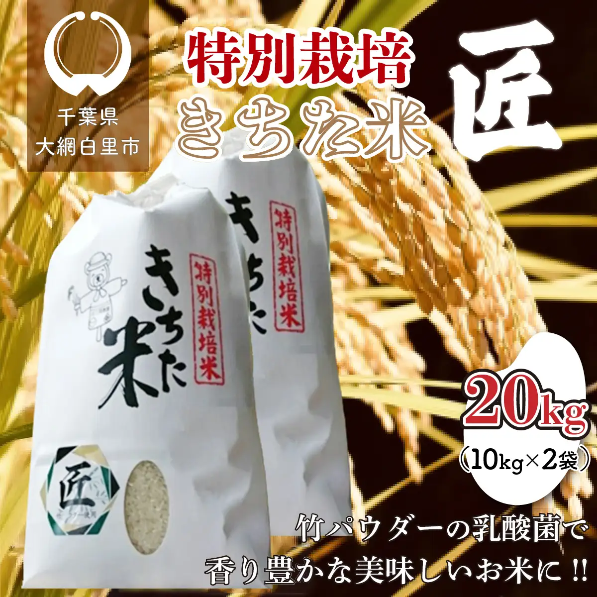 千葉県 大網白里市産 きちた米『匠(たくみ)』 （特別栽培米 コシヒカリ）20kg（10kg×2袋）