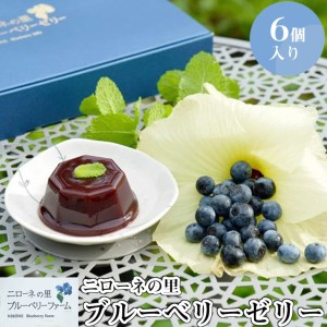 完熟 ブルーベリー ゼリー 【ヒルナンデスで紹介／化学肥料農薬不使用・有機農法】高級ゼリー 果物フルーツゼリー スイーツ 菓子 神奈川県相模原市 ニローネの里 ※着日指定送不可
