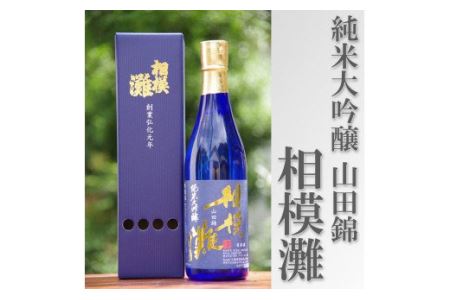 日本酒 相模灘 純米大吟醸　720ml ◆
