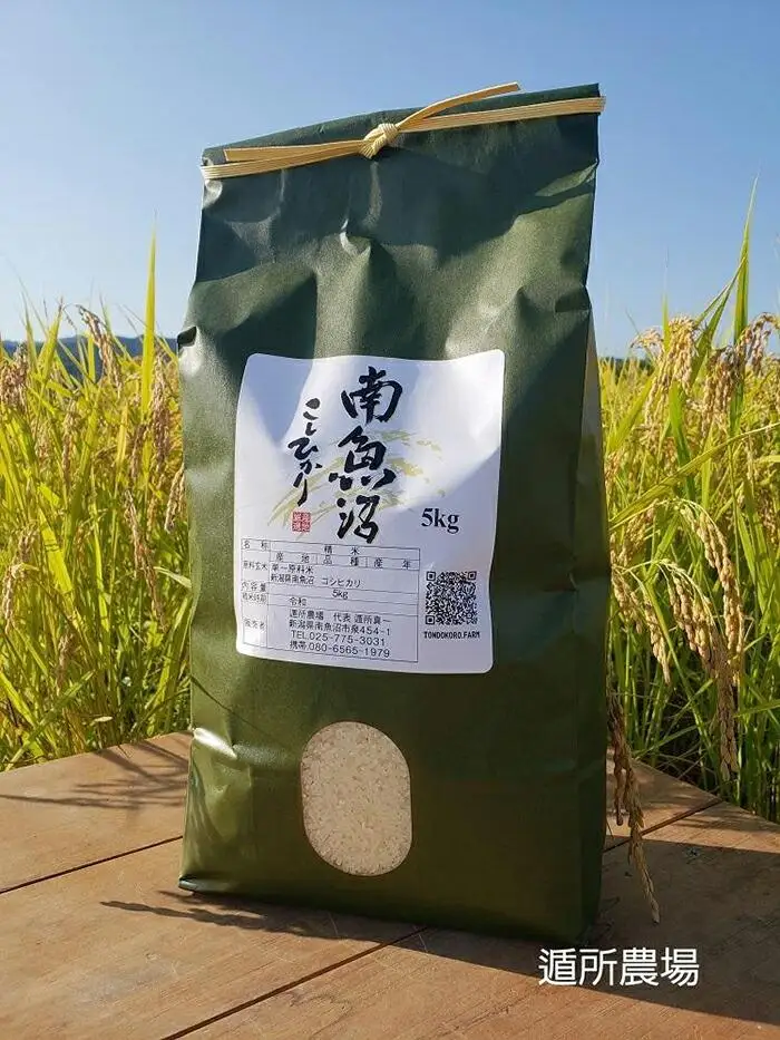 【令和8年産新米予約】【お米定期便/全６回】南魚沼産コシヒカリ　　白米５ｋｇ【定期便 銘柄米 ブランド米 精米 こしひかり コシヒカリ 魚沼産 新潟米 産地直送 お米 米】【2026年10月中旬から1ヶ月以内に順次発送予定】