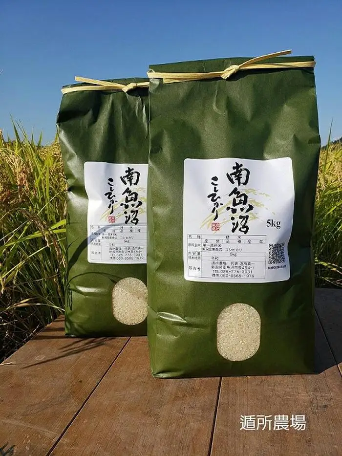 【令和8年産新米予約】【お米定期便/全６回】南魚沼産コシヒカリ　白米１０ｋｇ（５ｋｇ×２）【定期便 銘柄米 ブランド米 精米 こしひかり コシヒカリ 魚沼産 新潟米】【2026年10月中旬から1ヶ月以内に順次発送予定】