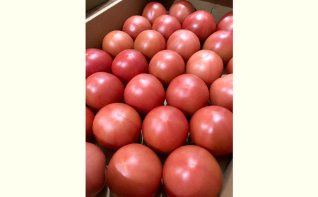 長野県産「山のトマト」4kg箱入り ( 野菜 トマト 大玉トマト 夏野菜 )
