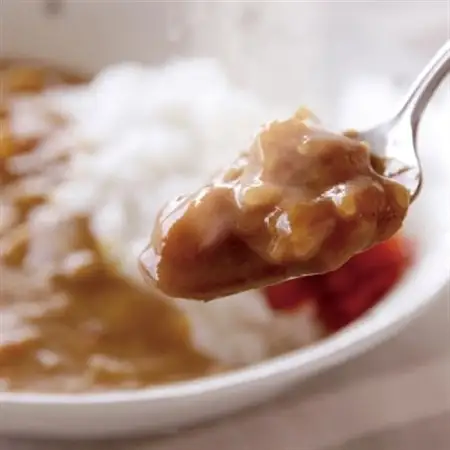 天理カレー　辛口　10個セット_惣菜・加工品 レトルト    惣菜・加工品 カレー  _【1070778】