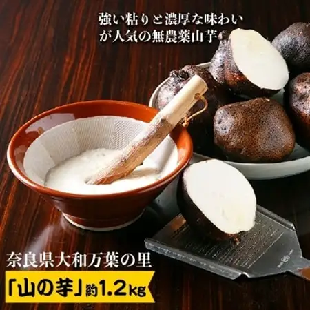大和万葉の里「山の芋」　約1.2kg_野菜  いも イモ 芋_【1071903】