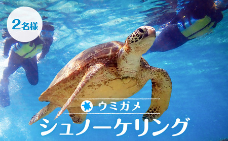 ウミガメ シュノーケリング（ 2名様 ） A051-001 アクティビティ 体験型 ウミガメシュノーケリング 2名分 水中写真 ガイド付 完全貸切 OCEANZ-オーシャンズ ふるさと納税 鹿児島県 奄美市 おすすめ ランキング プレゼント ギフト