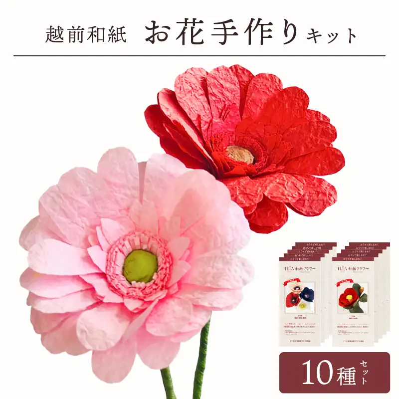 越前和紙 お花 手作りキット 10種セット（バラ カーネーション ガーベラ 他7種）【造花 インテリア お家時間 プレゼント】[e51-c001]