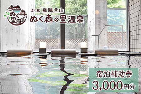下呂温泉【道の駅 飛騨金山ぬく森の里温泉】宿泊補助券（3,000円分）【a019-1】