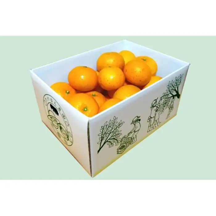 【2027年発送分 先行受付】たんかん ご家庭用バラ詰め5kg【たけはら農園】 たんかん