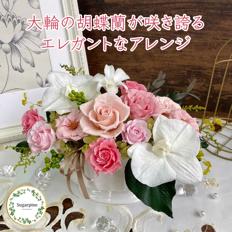 シュガーパイン プリザーブドフラワーアレンジ（ルクール/ピンク）【埼玉県 春日部市 洋蘭 ギフト 記念品 お祝い 長期鑑賞】（AJ073-2）