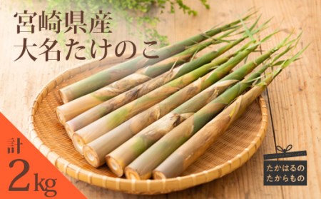 【数量限定】宮崎県高原町産「大名たけのこ」約2kg(5～6本) 炊き込みご飯や天ぷら、煮物にしておいしい筍　TF0409-P00036