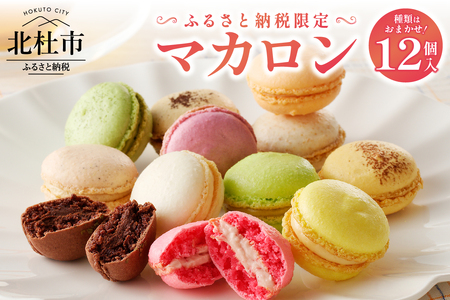 種類はおまかせ！ふるさと納税限定マカロン(12個入)　お菓子 マカロン アソート 冷凍 手作り バニラ チョコレート 木苺 カシス ヘーゼルナッツ ココナッツチョコレート 抹茶 ピスタチオ パッションショコラ バジル オレンジ ロイヤルミルクティー エスプレッソ [h194]