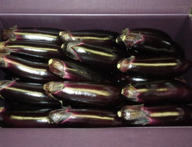 幸田町産「とげなし美茄子」 5kg ｜ なす ナス 茄子 野菜 ※11月～6月下旬頃に順次発送予定
