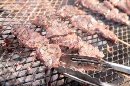 A101 エゾシカ 鹿肉 ロース・タン 串物 セット 各5本入り 北海道 鷹栖町 ロース もも肉 使用 高たんぱく 低脂肪 山恵 鹿肉 ジビエ 