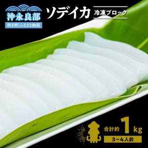 冷凍保存Ｏk！エメラルドブルーの美しい海で育ったおいしいソデイカ冷凍ブロック1キロ（3～4人前）！ W022-027u 魚 冷凍 イカ 加工品