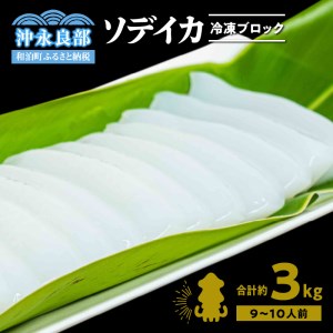 冷凍保存Ｏk！エメラルドブルーの美しい海で育ったおいしいソデイカ冷凍ブロック3キロ（9～10人前）！ W022-031u 魚 冷凍 イカ 加工品