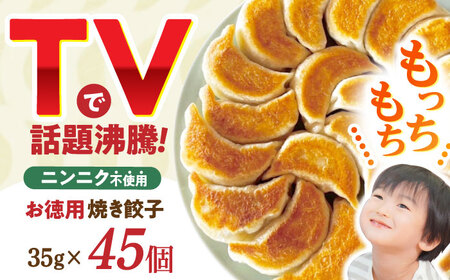 焼き餃子 45ヶ[AHBM003] 餃子のかわしも