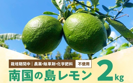 ■【 先行受付 】 栽培期間中 農薬 ・ 除草剤 ・ 化学肥料不使用 ！ 南国 の 島レモン 2kg ！【2026年9月～2027年2月下旬お届け】 W043-003u 果物