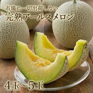 完熟 アールスメロン 大箱 4玉～5玉