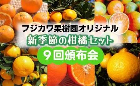 【9回頒布会】フジカワ果樹園オリジナル・新季節の柑橘セット 定期便 食べ比べ 