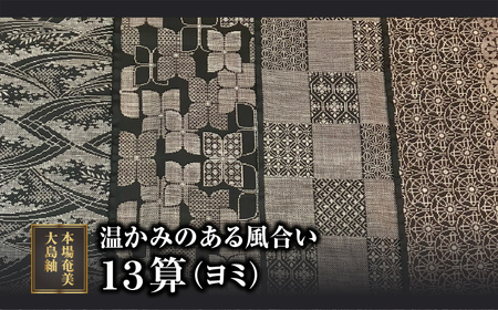 【本場奄美大島紬】温かみのある風合いが特徴の13算 A060-006 本場奄美大島紬 紬 絹織物 絣 伝統的工芸品 絹 反物 和装 着物 泥染め 手織り
