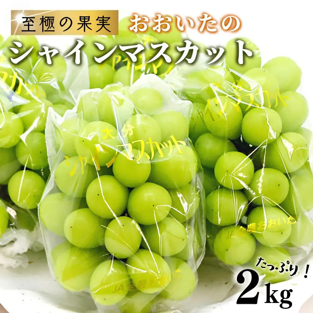 【ふるさと納税】《先行予約》至極の果実シャインマスカット2kg | 豊後高田市 シャインマスカット