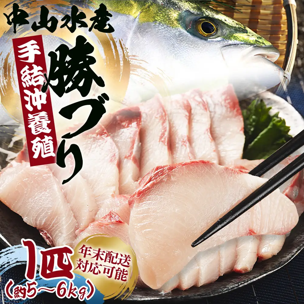 【ぶり】 1尾 (5〜6kg) ブリ ny-0014